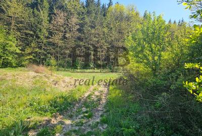 Teren intravilan | langa padure si parau | Luncani/Bacau - 3