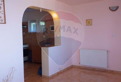 Casa / Vila cu 5 camere de vanzare - 4