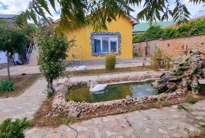 Casa parter cu teren de 1400 mp in Bariera Valcii aproape de drumul expres Casa parter cu teren de 1400 mp in Bariera Valcii aproape de drumul expres - 20