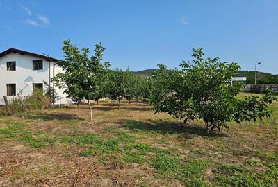 Buzau, Pietroasele - casa 4 camere, 2 bai, 150 mp utili. - 15
