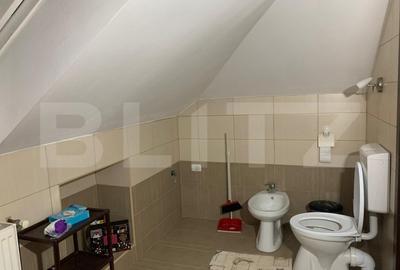 Casa individuala cu garaj, 200mp utili, teren 450mp, in Chisoda - 4