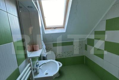 Ocazie unica! Cabana 200 mp utili, teren 800 mp, Ilisesti - 1