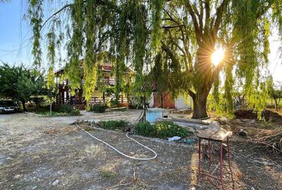 Casa P+M in Zona Capatanesti, Maracineni - 6