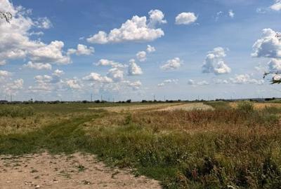 Teren de 3800 mp, în Rovine
