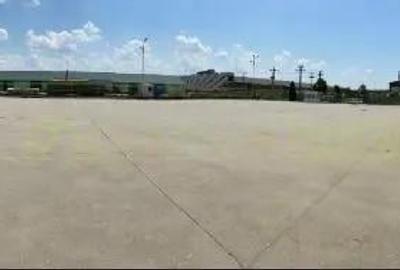 Spațiu comercial, de 600 mp, în Pecica - 10