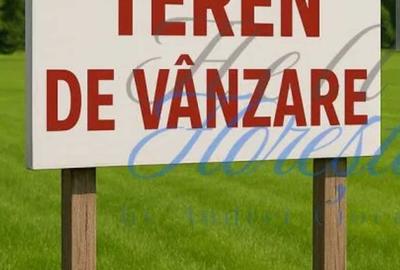 Spațiu comercial, în Gugești - 1