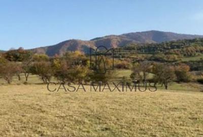Teren de 972 mp, în Gura Râului - 4