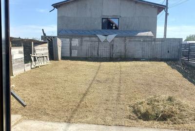 Casă cu 3 camere în Moara - 3