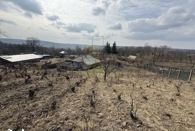 Teren de 1191 mp, în Dobrovăț - 5