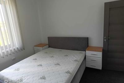 Casă cu 2 camere cu Teren 400 Mp în Cetariu - 2