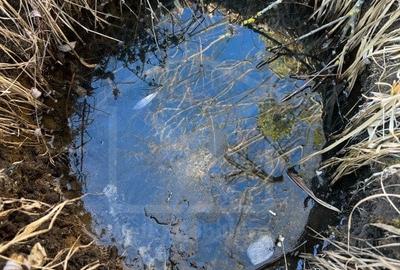 Teren extravilan in Saliste - 3