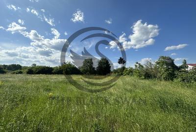 Teren Construcții intravilan de 11000 mp, în Ghirdoveni - 2