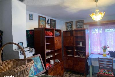 Casă cu 3 camere cu Teren 7600 Mp în Putna - 6