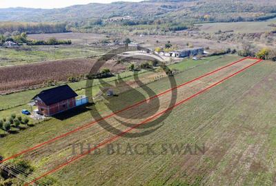 Teren intravilan de vanzare | 3.084mp | Plavia - Urlati |... - 8