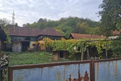 Casa traditionala cu teren generos - Borosteni, Pestisani, jud. Gorj - 4
