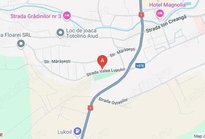 Teren de 3300 mp, în Central - 7
