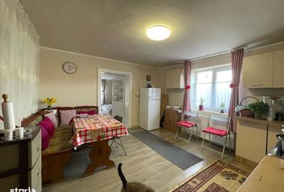 Casă cu 2 camere în Săbișa - 10