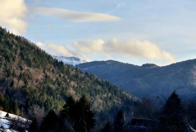 Teren intravilan Simon/Bran, 4318 mp , casuta intabulata, utilitati - 19