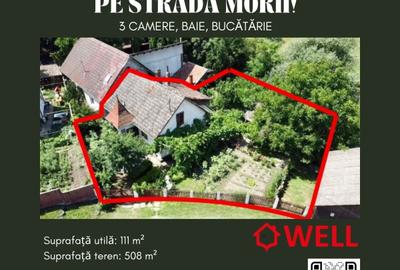 Casă de vânzare în Sfântu Gheorghe, pe strada Morii!