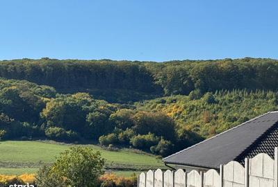 Spațiu comercial, în Betfia - 2