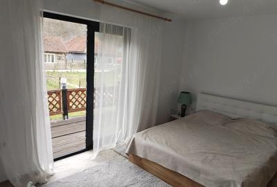 Casă cu 2 camere cu Teren 823 Mp în Rusca - 9
