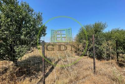 Teren Construcții intravilan de 1174 mp, în Șimnicu de Sus - 5