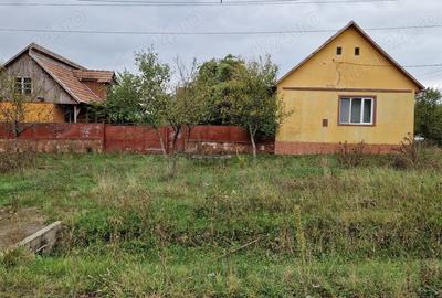 Casă cu Teren 873 Mp în Brestovăț - 4