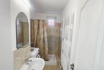 Apartament cu 1 camere de inchiriat in zona Central - 3