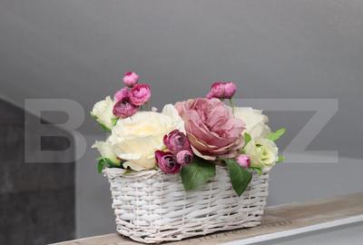 Casă cu 4 camere cu Teren 532 Mp în Lazuri