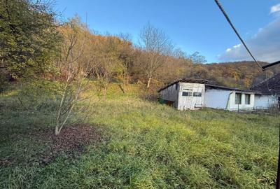 Casa 3 camere + teren 912mp zona Caraiman - 3