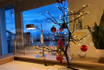 Garsonieră în Ceangăi