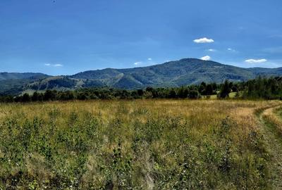 Teren superb in zona Fagaras, ideal pentru vacanta/Comision 0% - 4