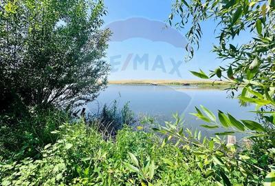 Teren 1400mp cu Livada si Iesire la Lac in Niculesti-Dambovita - 10