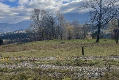 Spațiu comercial, în Băile Borșa - 6