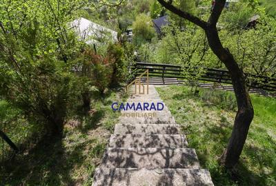 Casă individuală cu 4 camere cu Teren 2377 Mp în Provița de Jos - 19