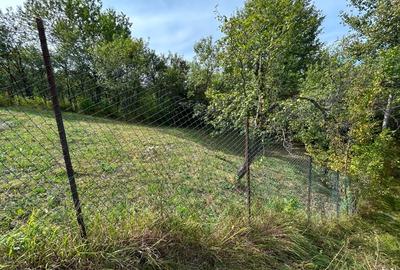 Teren intravilan Breaza - 5