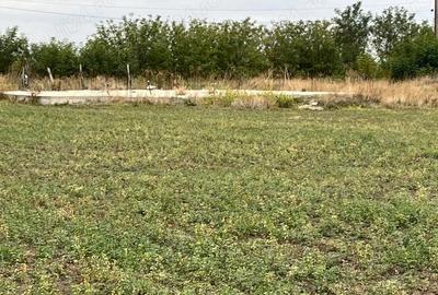 Teren de 3000 mp, în Checea - 10