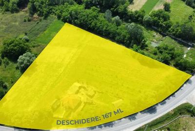 Teren de 10176 mp, în Mihăești - 10