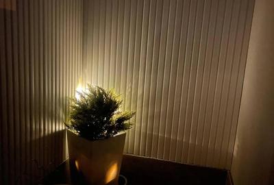 Garsonieră semidecomandată în Braytim - 9