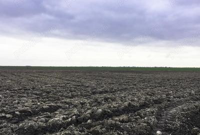 Teren Extravilan Costesti Arges - 2