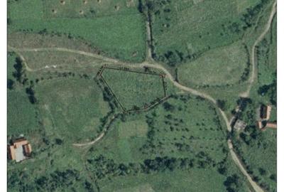 Vad teren intravilan in localitatea Sacosu Mare. - 1