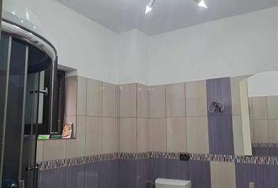 Vila Bascov-Paisesti, P+1,600 mp teren - 10
