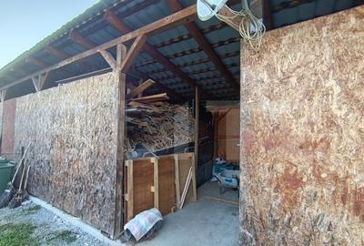 Casa cu 3 camere,baie, bucatarie,anexe.pivni?a teren 800 m - 4