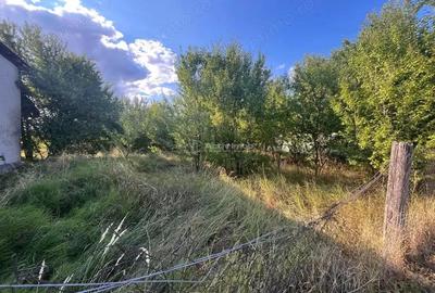 Teren de 1060 mp, în Darova - 6