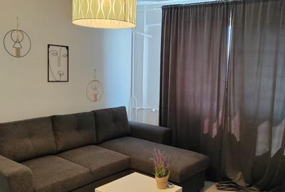 Inchiriere apartament 2 camere Victoriei Felix - 2