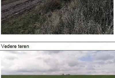 Teren de 7466 mp, în Țigănași - 3