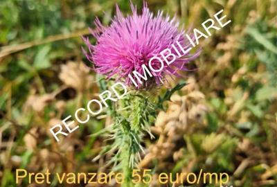 Teren de 1095 mp, în Apahida