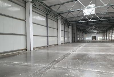 Hala 2400 mp, 4,50 e/mp Hala 2400 mp, 4,50 e/mp - 3