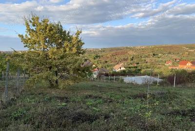 Spațiu comercial, în Central - 8
