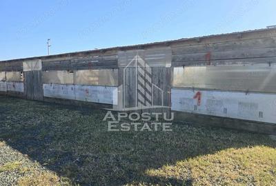 Casă cu Teren 1700 Mp în Horia - 2